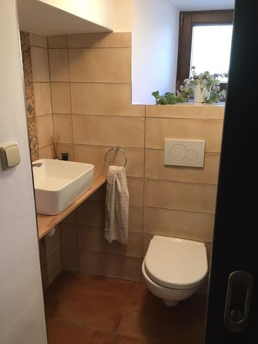 U Zivlu Bed & Breakfast Brlohy Eksteriør bilde
