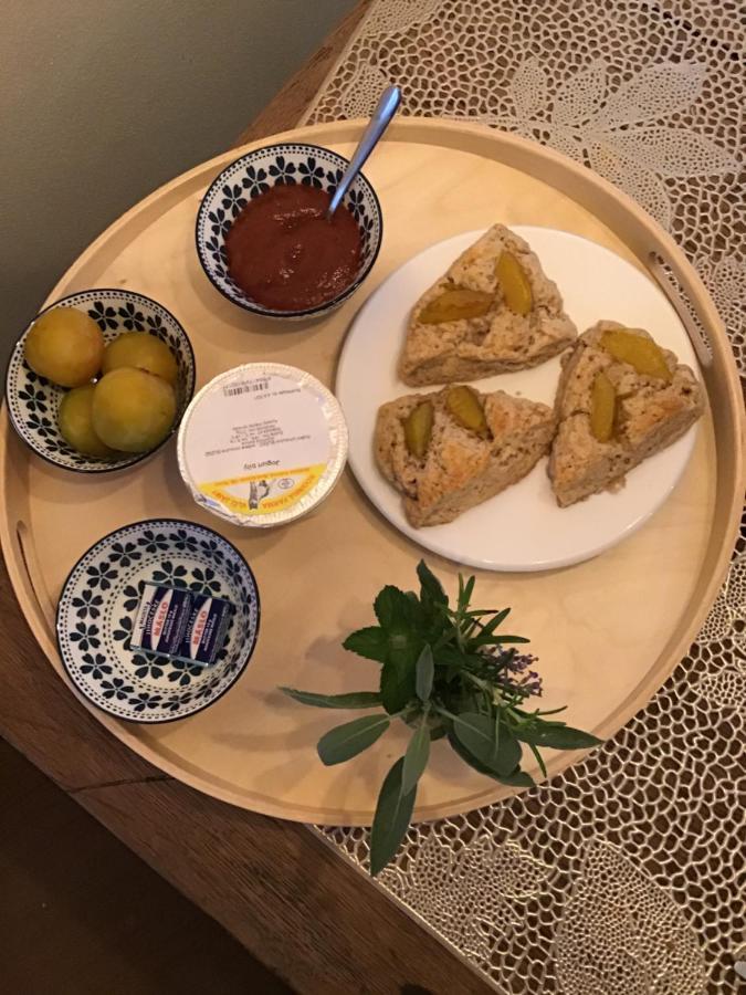 U Zivlu Bed & Breakfast Brlohy Eksteriør bilde